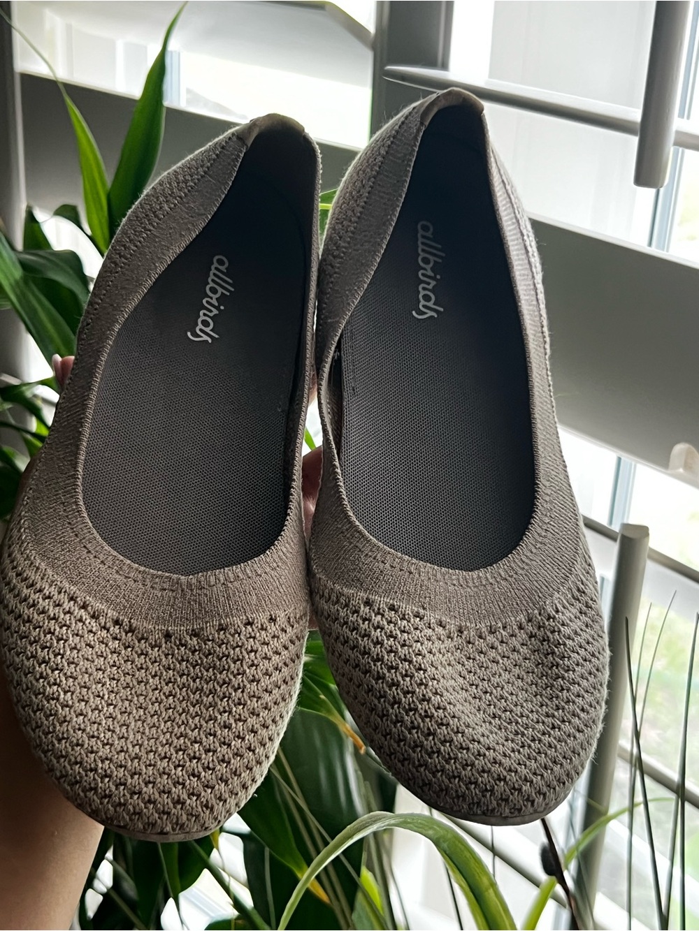 allbirds Women's Tree Breezers in Taupe Knit
